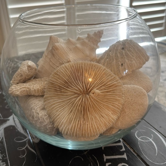 Mushroom Coral Beachy Decor - Picture 1 of 7